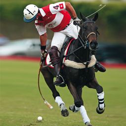 Polo & Horse Riding at Khas Bagh, Jaipur